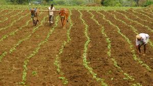 Farmer Suicides